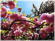 ������� ����� • ������ ���������