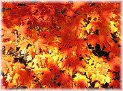 Pennsylvania Grand Canyon, Wellsboro