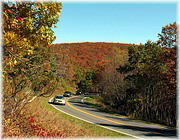 Shenandoah National Park, Virginia