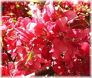 ��������� ��� �������&hellip;