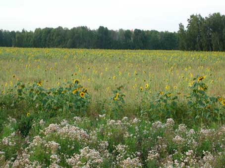 ������� ���� ������� � ����������� ��������� &ndash; �����������