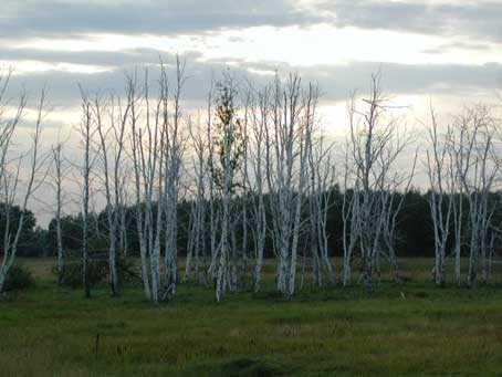 ������� ���� ������� � ����������� ��������� &ndash; �����������