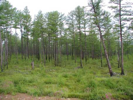 ������� ���� ������� � ����������� ��������� &ndash; �����������