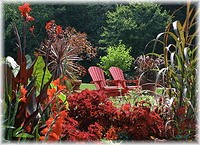 Meadowlark Botanical Gardens in Vienna, Virginia
