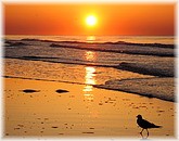 Ohiopyle State Park, PA