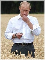 �.�.����� &copy; MK.ru