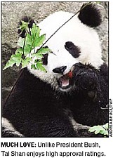 &copy; Washington Post Express & TWP